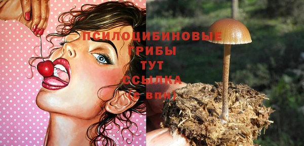 ешки Беломорск