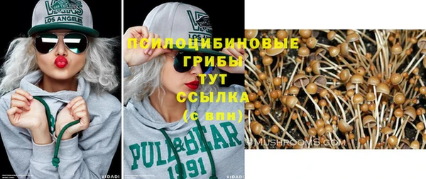 MDMA Белокуриха